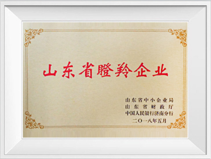 山東省“瞪羚企業(yè)”
